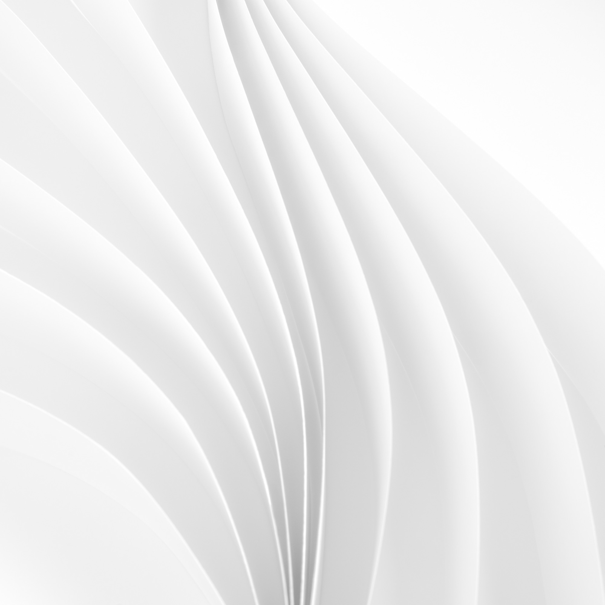 Conceptueel portret in spiegelbeeld door Ann-Sophie Verschuere